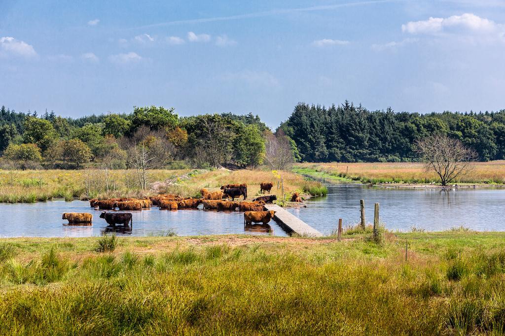 Hotel Aan de Vaart Appelscha Buitenkant foto